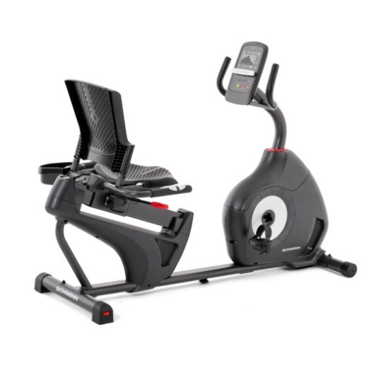 אופני כושר משוכללים עם משענת גב דגם 510R מבית Schwinn - הנמכרים ביותר בארה";ב