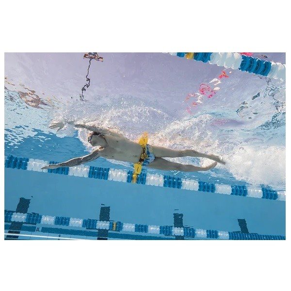 חגורת טכניקה למים FINIS Hydro Hip