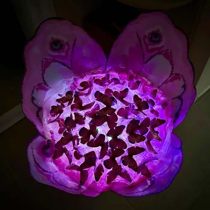 זר פרפרים עם אורות לד 242416 עבודת יד מבית CITYSPORT