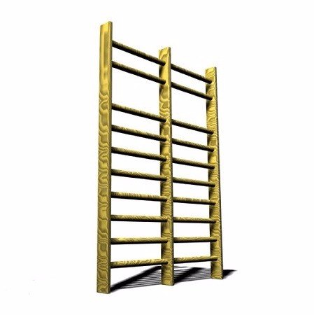 סולם שוודי כפול 170/260 מבית CITYSPORT