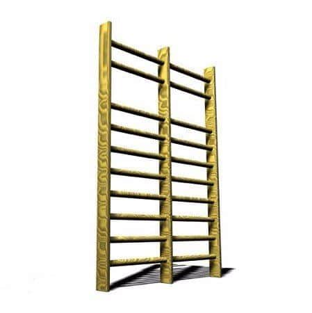 סולם שוודי כפול 170/260 מבית CITYSPORT